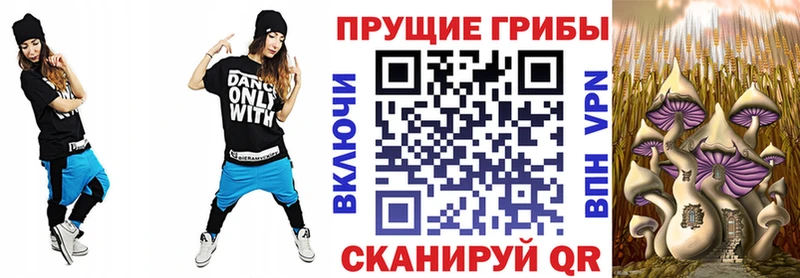 Псилоцибиновые грибы MAGIC MUSHROOMS  где можно купить   мега зеркало  Цимлянск 
