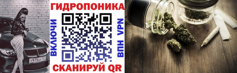 Канабис Bruce Banner  что такое   Цимлянск 